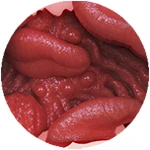 #4 Tongue Fantasy