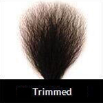 Trimmed