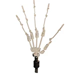 Articulated Fingers