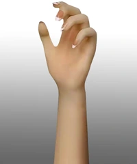 Articulated Fingers (FREE)