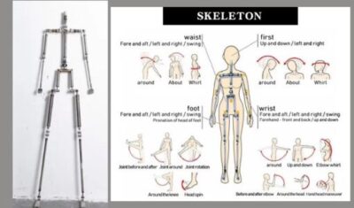 Diagram of the sex doll skeleton