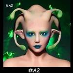#A2
