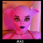 A3
